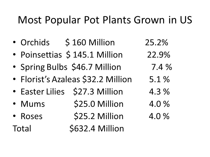 Most Popular Pot Plants Grown in US Orchids      